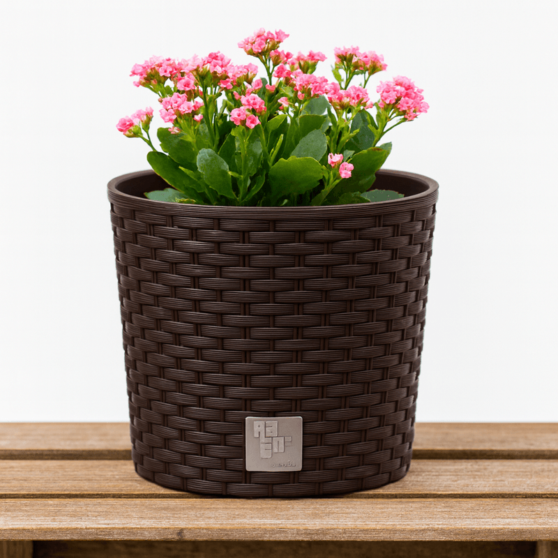 Casa si Gradina - Gradinarit si plante - Plante si ghivece - Ghivece si suporturi - Ghiveci rotund maro inchis, plastic rezistent, imitatie ratan, diametru 20 cm, inaltime 19 cm - Infinity.ro
