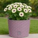 Casa si Gradina - Gradinarit si plante - Plante si ghivece - Ghivece si suporturi - Ghiveci rotund mocca, plastic rezistent, imitatie ratan, diametru 20 cm, inaltime 19 cm - Infinity.ro