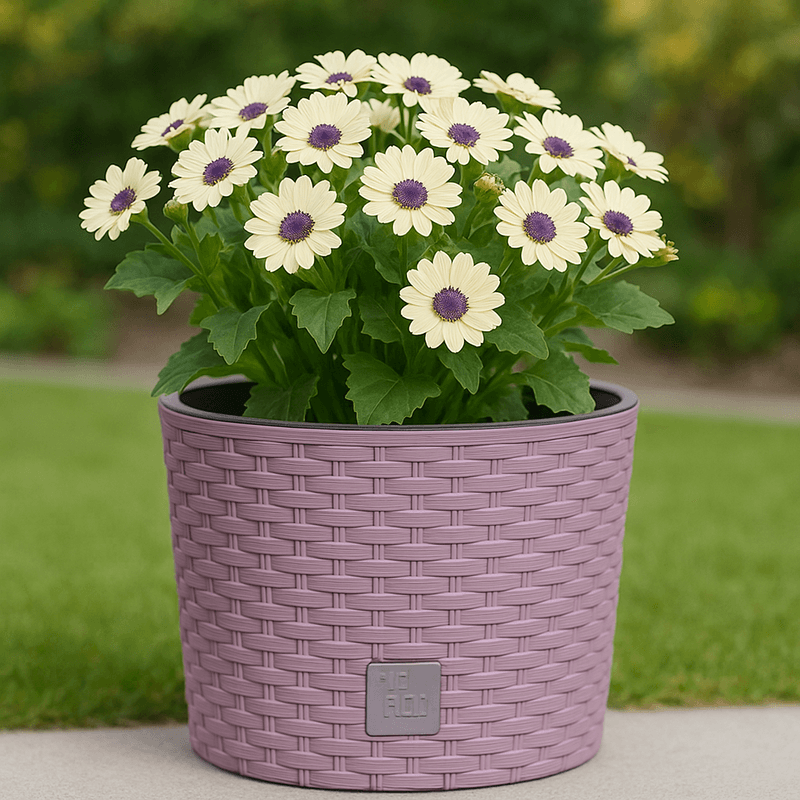 Casa si Gradina - Gradinarit si plante - Plante si ghivece - Ghivece si suporturi - Ghiveci rotund mocca, plastic rezistent, imitatie ratan, diametru 20 cm, inaltime 19 cm - Infinity.ro