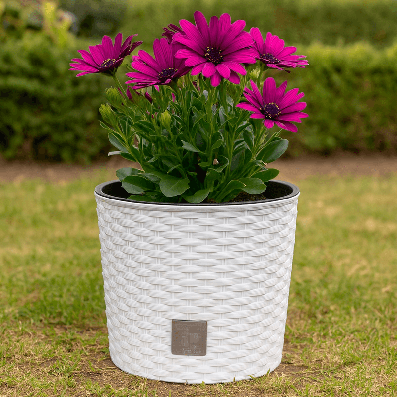 Casa si Gradina - Gradinarit si plante - Plante si ghivece - Ghivece si suporturi - Ghiveci rotund alb, plastic rezistent, imitatie ratan, diametru 20 cm, inaltime 19 cm - Infinity.ro