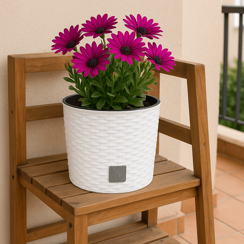 Casa si Gradina - Gradinarit si plante - Plante si ghivece - Ghivece si suporturi - Ghiveci rotund alb, plastic rezistent, imitatie ratan, diametru 20 cm, inaltime 19 cm - Infinity.ro