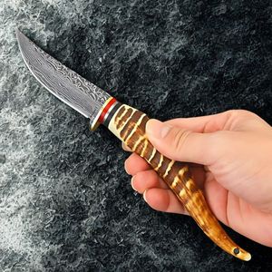 Sport si Outdoor - Camping - Cutite, bricege si accesorii - Infinity.ro