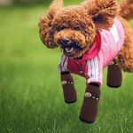 Petshop - Articole imbracaminte - Incaltaminte animale - Set 4 sosete antiderapante pentru catei, talpa cauciuc, bumbac, interior/exterior, maro, 2XL - Infinity.ro