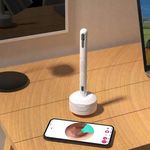 Ingrijire personala si Cosmetice - Sanatate si wellness - Aparate medicale - Dispozitive si accesorii medicale uz casnic - Dispozitiv curatare urechi, Otoscop, NewEvo®, Camera FullHD, 1080P, 6 lumini LED, Incarcare USB-C - Infinity.ro