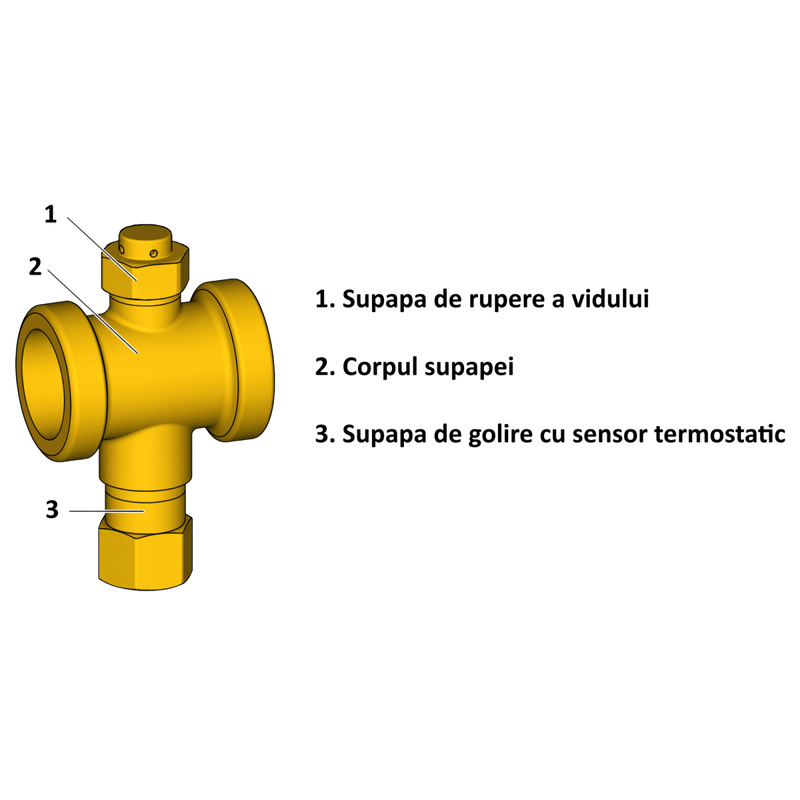 Casa si Gradina - Sanitare - Instalatii hidro - Fitinguri - Supapa de protectie anti-inghet Giacomini R148HPY005, pompe de caldura monobloc, filet 1” filet exterior - Infinity.ro