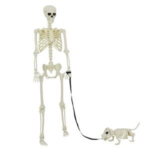 Decoratiune de Halloween: schelet cu caine 2 pcs Alb 155 cm