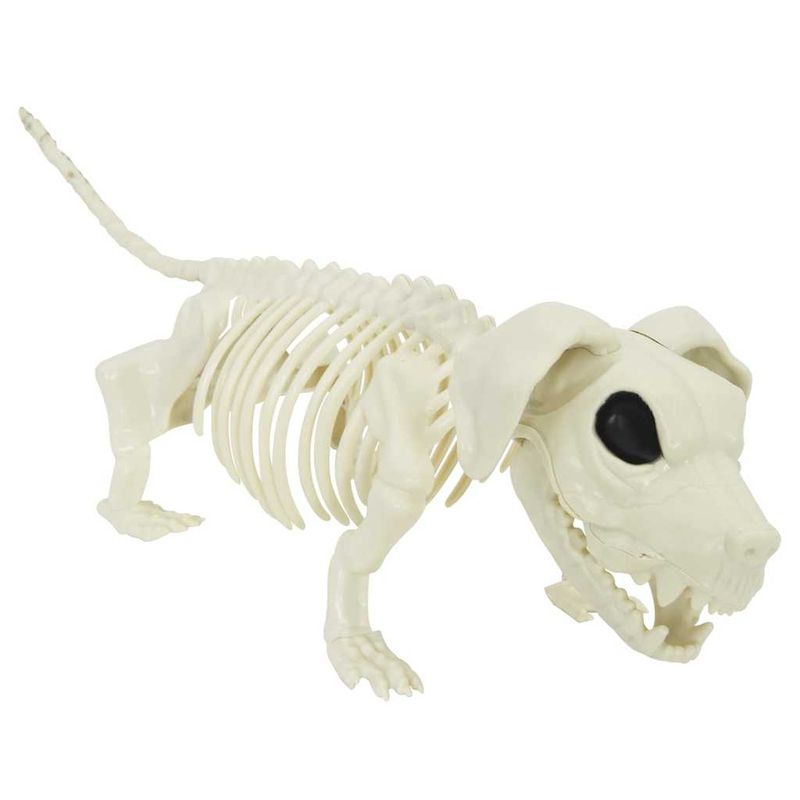 Casa si Gradina - Decoratiuni - Decoratiuni de sezon - Decoratiune de Halloween: schelet cu caine 2 pcs Alb 155 cm - Infinity.ro