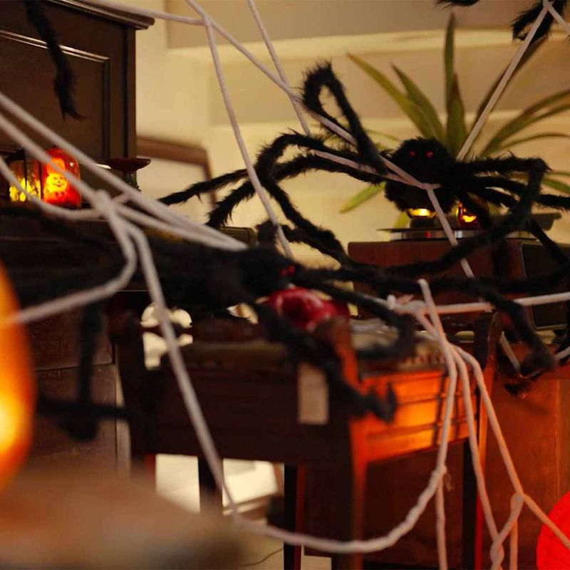 Casa si Gradina - Decoratiuni - Decoratiuni de sezon - Decoratiune de Halloween cu paianjeni si panze 2 pcs - Infinity.ro