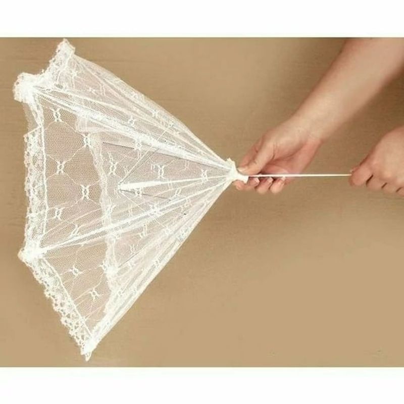 Casa si Gradina - Bucatarie si vesela - Organizare si depozitare bucatarie - Cutii alimentare - Plasa protectoare pentru alimente , Clopot pliabil XL 60 cm - Infinity.ro