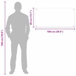 Casa si Gradina - Sanitare - Chiuveta bucatarie si accesorii - Accesorii chiuvete - Panou de bucatarie Transparent 100 x 40 x 0.8 cm - Infinity.ro