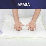 Casa si Gradina - Textile si covoare - Perne si pilote - Perne - Set 2 perne 50x70 cm, Essience Premium Collection, husa satin bambus; umplutura fulgi memory si nanofibra extrafina; - Infinity.ro