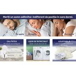 Casa si Gradina - Textile si covoare - Perne si pilote - Perne - Set 2 perne 50x70 cm, Essience Premium Collection, husa tricot bambus; umplutura fulgi memory si nanofibra extrafina; - Infinity.ro