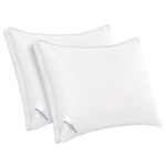 Casa si Gradina - Textile si covoare - Perne si pilote - Perne - Set 2 perne 50x70 cm, Essience Premium Collection, husa 100% Bumbac; umplutura confort nanofibra extrafina - Infinity.ro