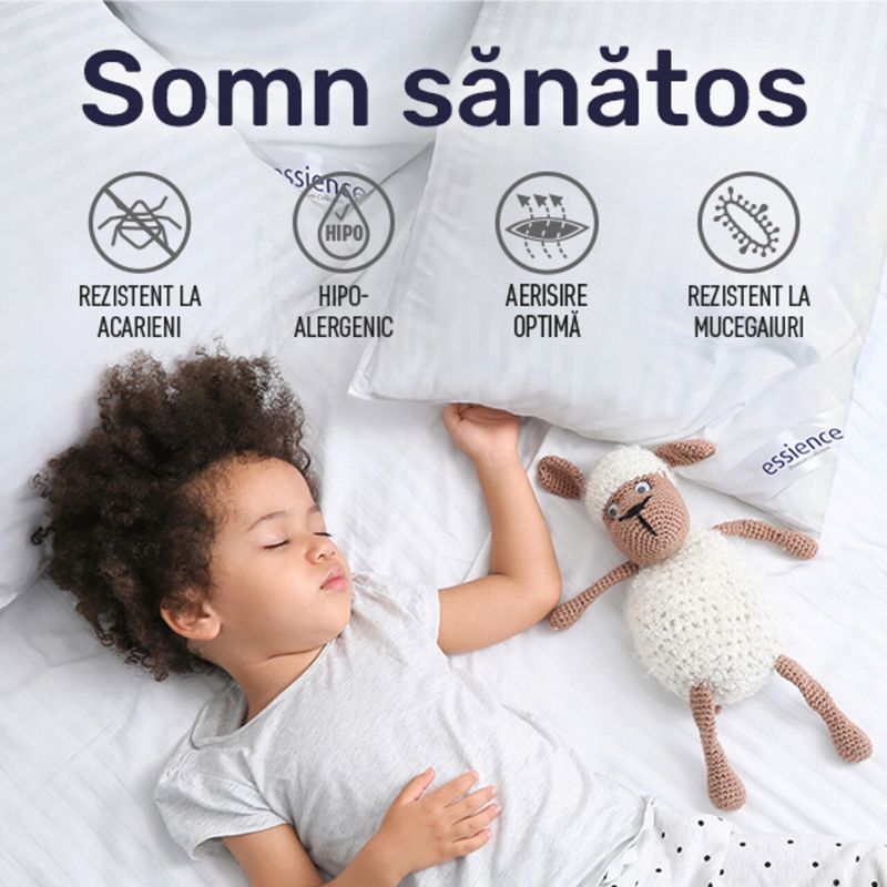 Casa si Gradina - Textile si covoare - Perne si pilote - Perne - Set 2 perne Stripes 50x70 cm, Essience Premium Collection, husa 100% Bumbac; umplutura nanofibra extrafina - Infinity.ro