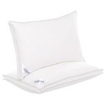 Casa si Gradina - Textile si covoare - Perne si pilote - Perne - Set 2 perne 50x70 cm, Essience Premium Collection, husa 100% Bumbac; umplutura confort nanofibra extrafina - Infinity.ro