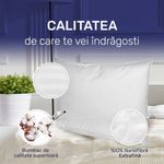 Casa si Gradina - Textile si covoare - Perne si pilote - Perne - Set 2 perne Stripes 50x70 cm, Essience Premium Collection, husa 100% Bumbac; umplutura nanofibra extrafina - Infinity.ro