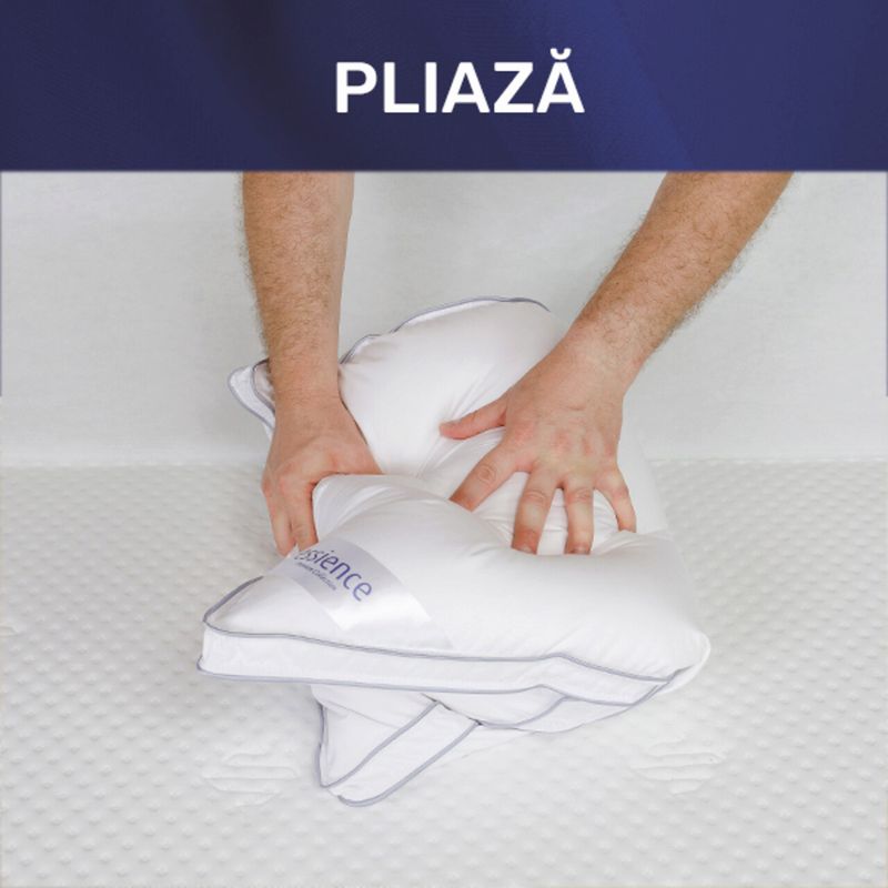 Casa si Gradina - Textile si covoare - Perne si pilote - Perne - Set 2 perne 50x70 cm, Essience Premium Collection, husa 100% Bumbac; umplutura confort nanofibra extrafina - Infinity.ro