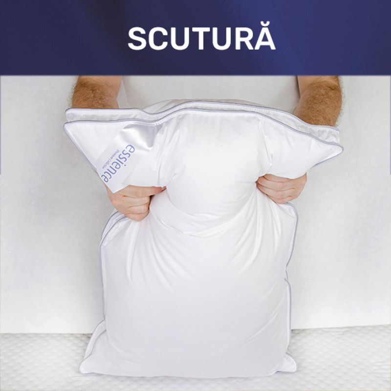 Casa si Gradina - Textile si covoare - Perne si pilote - Perne - Set 2 perne 50x70 cm, Essience Premium Collection, husa 100% Bumbac; umplutura confort nanofibra extrafina - Infinity.ro