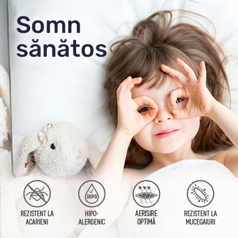 Casa si Gradina - Textile si covoare - Perne si pilote - Perne - Set 2 perne 50x70 cm, Essience Premium Collection, insert memory si umplutura nanofibra extrafina, husa 100% Bumbac - Infinity.ro