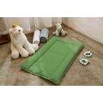 Casa si Gradina - Mobilier - Mobilier copii - Saltele patut copii - Saltea de infasat Travel Premium, 48x78 cm, Hipoalergenica, Pliabila, Verde - Infinity.ro