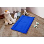 Casa si Gradina - Mobilier - Mobilier copii - Saltele patut copii - Saltea de infasat Travel, 48x78 cm, Pliabila, Albastru - Infinity.ro