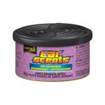 Auto si Moto - Intretinere auto - Odorizante auto - Odorizant Auto California Scents Santa Barbara Berry - Infinity.ro