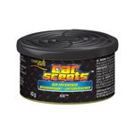 Auto si Moto - Intretinere auto - Odorizante auto - Odorizant Auto California Scents Arctic Ice - Infinity.ro