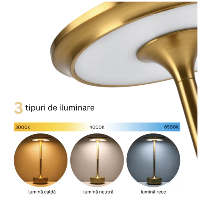 Casa si Gradina - Corpuri si surse de iluminat - Veioze si lampi - Veioze - Lampa LED wireless N2L Store®, portabila, cu touch control, 3 tipuri de iluminare, USB-C, Auriu - Infinity.ro