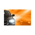 Auto si Moto - Electrice auto - Iluminare si semnalizare - Becuri auto - Bec Xenon D4S Vision 42V 35W PHILIPS - Infinity.ro