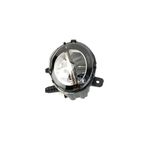 Auto si Moto - Piese auto si accesorii - Caroserie - Faruri, stopuri si proiectoare - Proiector ceata LED dreapta BMW Seria 3 F30, Seria 4 F32, Seria 1 F20, Seria 2 F22 - 63177315560 - Infinity.ro