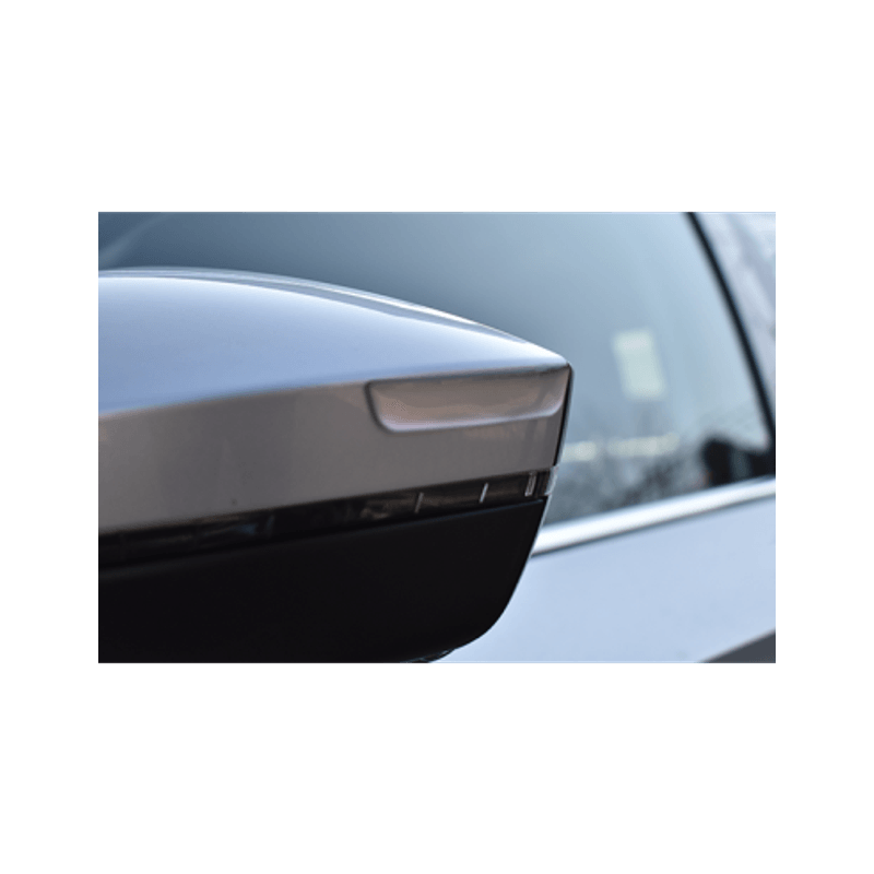 Auto si Moto - Piese auto si accesorii - Caroserie - Ornamente exterior auto - Ornament Protectie Portiera / Oglinda Argintiu - Infinity.ro