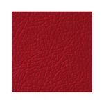 Auto si Moto - Piese auto si accesorii - Caroserie - Vopsele auto si accesorii - Vopsea piele Rosu Flamenco LEATHER EXPERT Leather Colourant 250ml - Infinity.ro