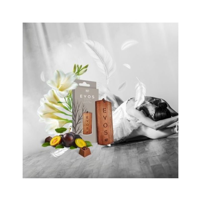 Auto si Moto - Intretinere auto - Odorizante auto - Odorizant auto K2 Evos Crace Angel - Infinity.ro