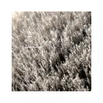 Auto si Moto - Intretinere auto - Produse curatare auto - Perie semi dura pentru jante si anvelope Work Stuff Monsoon Wheel & Arch Brush - Infinity.ro