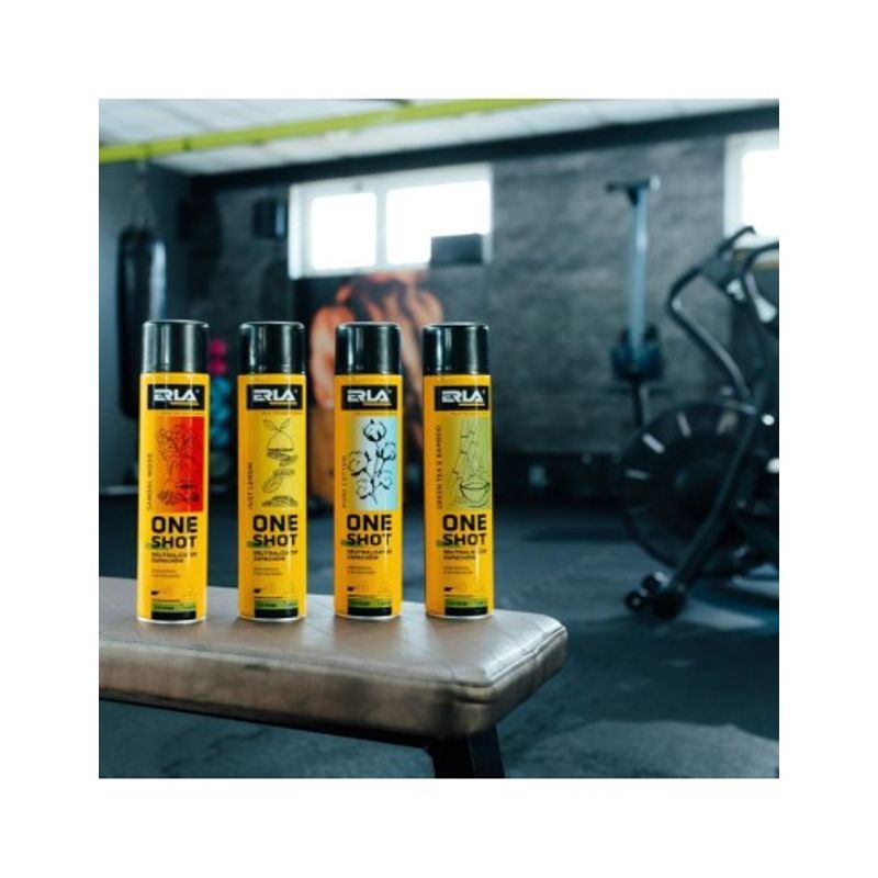 Casa si Gradina - Decoratiuni - Aromaterapie si lumanari - Odorizante camera - Neutralizant si odorizant de camera 2 in 1, aroma Lemn de Santal Pur Erla One Shot, 600 ml - Infinity.ro