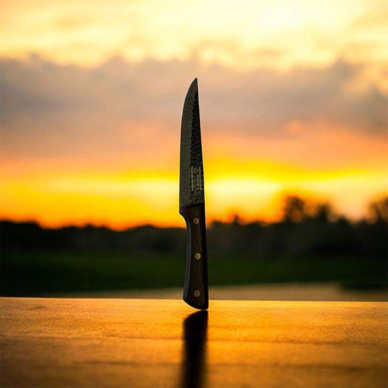 Casa si Gradina - Bucatarie si vesela - Vesela si tacamuri - Cutite si seturi de cutite - Set cutite macelarie profesionale, 4 piese - Infinity.ro