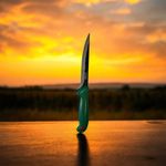 Casa si Gradina - Bucatarie si vesela - Vesela si tacamuri - Cutite si seturi de cutite - Set cutite macelarie profesionale, 6 piese - Infinity.ro