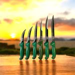 Casa si Gradina - Bucatarie si vesela - Vesela si tacamuri - Cutite si seturi de cutite - Set cutite macelarie profesionale, 6 piese - Infinity.ro