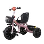 Jucarii, Copii si Bebe - Jucarii si jocuri - Jucarii de exterior - Triciclete - Tricicleta 2-5 ani, Roz, Pentru copii, Centuri de siguranta, Suport picioare, Doua cosuri jucarii, Sezut reglabil - Infinity.ro