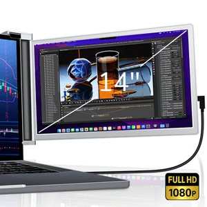 PC, gaming si accesorii - Desktop PC & monitoare - Monitoare - Infinity.ro