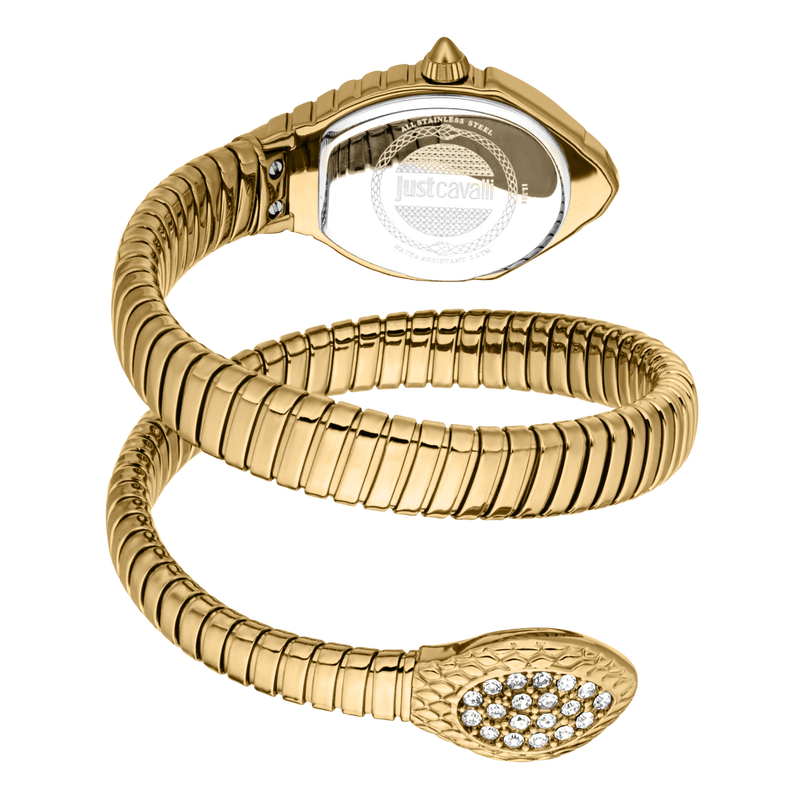 Fashion, accesorii si bijuterii - Femei - Bijuterii femei - Ceasuri femei - Ceas Dama Just Cavalli Speranza JC1L356M0025 - Infinity.ro