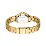 Fashion, accesorii si bijuterii - Femei - Bijuterii femei - Ceasuri femei - Ceas Dama Just Cavalli Raffinata JC1L328M0055SET - Infinity.ro