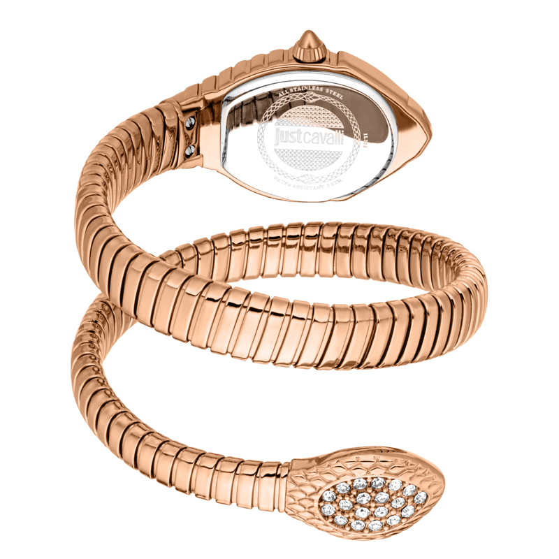 Fashion, accesorii si bijuterii - Femei - Bijuterii femei - Ceasuri femei - Ceas Dama Just Cavalli Speranza JC1L356M0045 - Infinity.ro