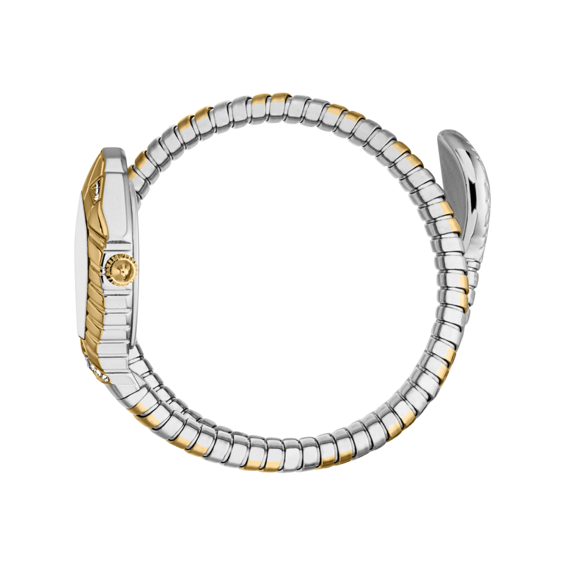 Fashion, accesorii si bijuterii - Femei - Bijuterii femei - Ceasuri femei - Ceas Dama Just Cavalli Speranza JC1L356M0055 - Infinity.ro