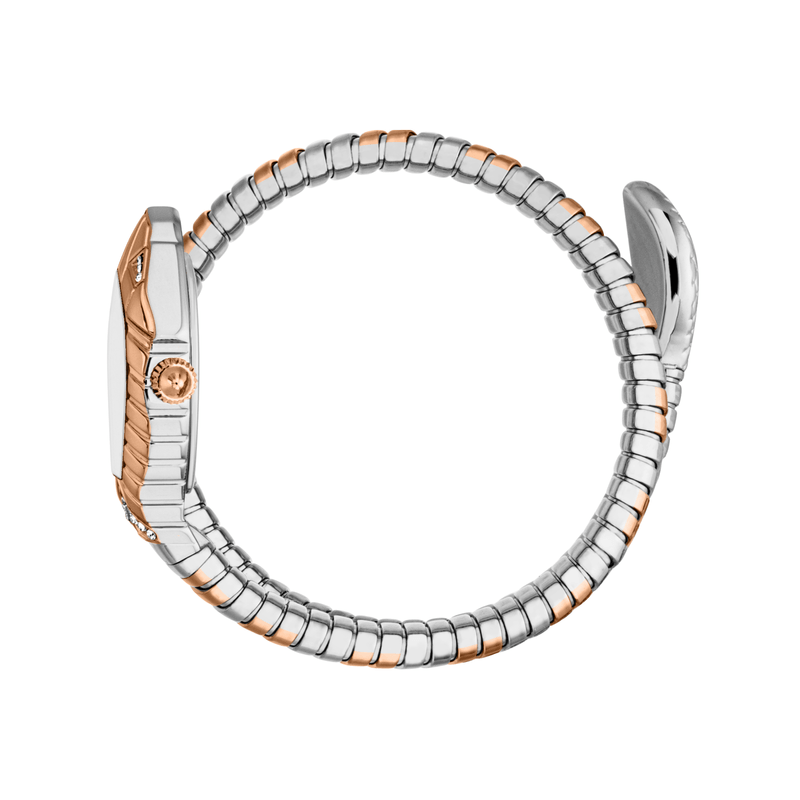 Fashion, accesorii si bijuterii - Femei - Bijuterii femei - Ceasuri femei - Ceas Dama Just Cavalli Speranza JC1L356M0065 - Infinity.ro