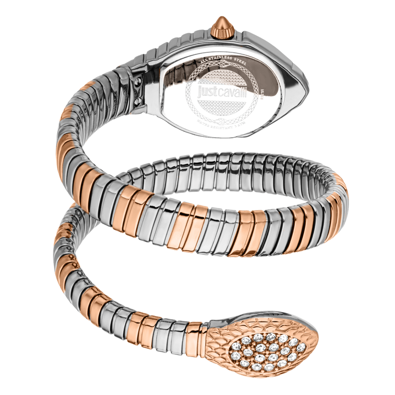 Fashion, accesorii si bijuterii - Femei - Bijuterii femei - Ceasuri femei - Ceas Dama Just Cavalli Speranza JC1L356M0065 - Infinity.ro