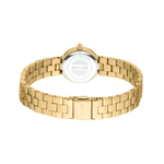 Fashion, accesorii si bijuterii - Femei - Bijuterii femei - Ceasuri femei - Ceas Dama Just Cavalli Serenita JC1L362M0055 - Infinity.ro