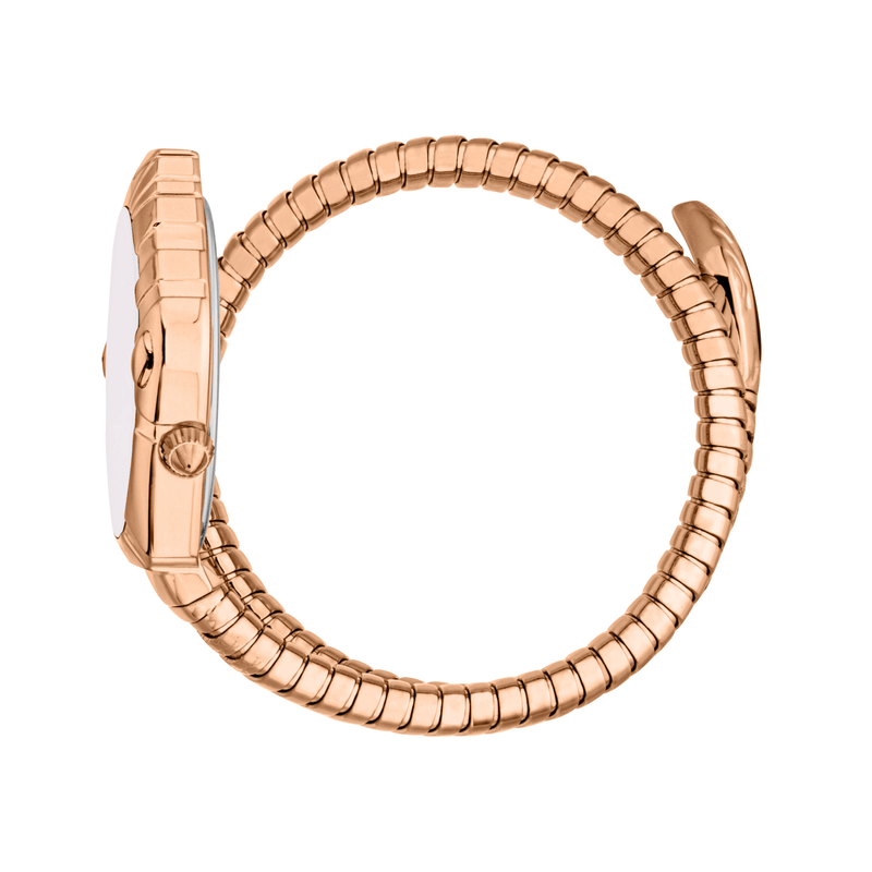 Fashion, accesorii si bijuterii - Femei - Bijuterii femei - Ceasuri femei - Ceas Dama Just Cavalli Lirica JC1L357M0045 - Infinity.ro