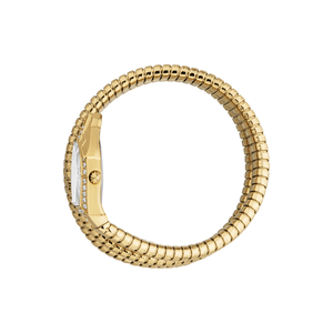 Ceas Dama Just Cavalli Mesmerizing JC1L304M0025