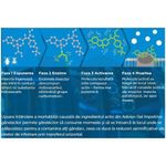 Market - Curatenie si intretinere casa - Produse menaj - Insecticide si capcane - Advion Gandaci Gel 30g, Eliminare Gandaci + Kit Aplicare LittleDomi (Aplicator cu Piston, Bete de Portocal, Manusi) - Infinity.ro